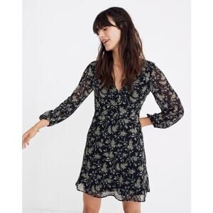 Madewell Marguerite Dress in Antique Flora Size 10